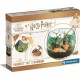 CLEMENTONI TERRARIUM HARRY POTTER