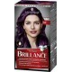BRILLANCE CERISE NOIRE 888