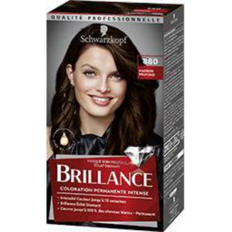 BRILLANCE COLO 880 MARRON PROF