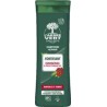 ARBRE VERT A.VERT SHP HOMME FORTIFI 250ml