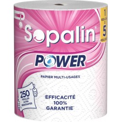 SOPALIN ET POWER