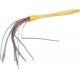 NC Martinet
