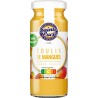 SAINTE LUCIE Coulis mangue 110g