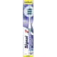 SIGNAL EXPERT VERTICAL MEDIUM X1