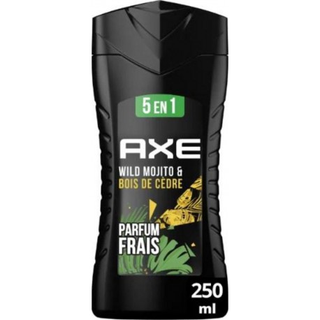 AXE SG WILD 5EN1 250ml