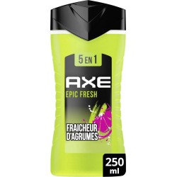 AXE SG EPIC FR 5EN1 250ml