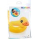 INTEX Animal