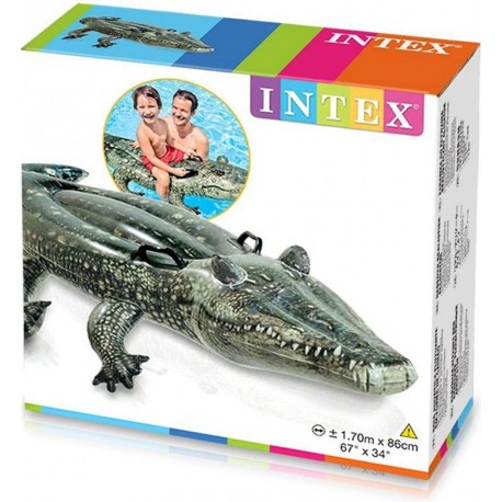 INTEX Crocodile