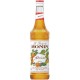 Sirop Monin Abricot