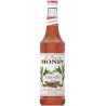 Sirop Monin Cannelle