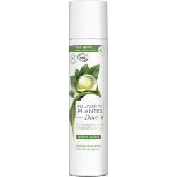 DOVE Déodorant Spray pouvoir des plantes arbre à thé
