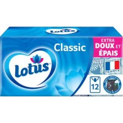 LOTUS CLASSIC 12 BLANC x12